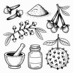 Clove Spice Illustration Set &ndash; Hand‑Drawn Herbal Sketch Collection