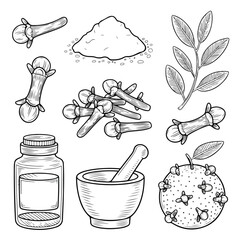 Clove Spice Illustration Set &ndash; Hand‑Drawn Herbal Sketch Collection