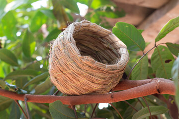 Natural bird&rsquo;s nest woven by hand, perched on a tree branch, rustic charm.