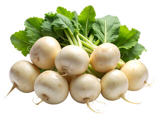 Small Bunch of Fresh Turnips Without Greens, Rustic Arrangement, Isolated on Transparent Background