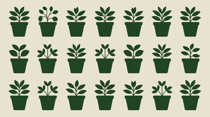 Collection of potted plants