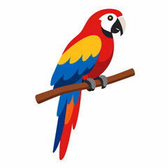 Fototapeta premium Colorful parrot illustration for jungle wildlife and nature art