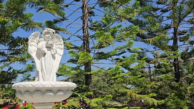 Static outdoor shot of a white angel statue on a fountain surrounded by lush evergreen trees under a clear blue sky. Gentle wind sways the branches, creating a calm, story-like atmosphere. Ample natur
