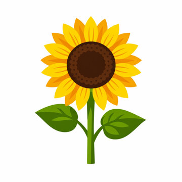 Radiant yellow sunflower illustration for farm and agriculture.