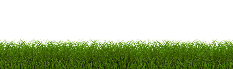Big Set Green Grass Isolated White Background
