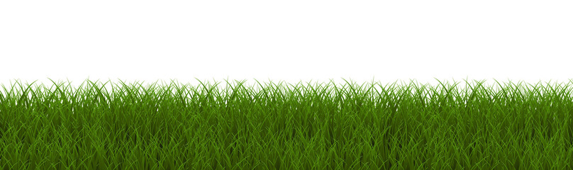 Green Grass Isolated With White Background