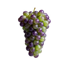 [Transparent Background PNG]Bunch of fresh purple and green grapes for healthy eating