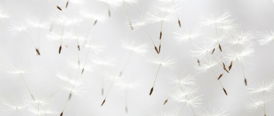 Scattered dark shapes and light areas create a textured pattern against a white background with uneven distribution of elements