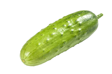 [Transparent Background PNG]Fresh Green Cucumber on White Background