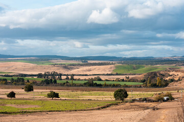 Obraz premium Agricultural tractor cultivating a field with discs, discing cultivation Sowing a crop in a paddock on a farm in Australia. farming agriculture practices