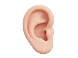 The Anatomy of Hearing