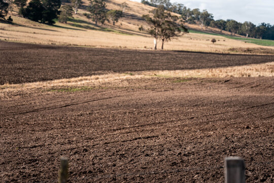 Agricultural tractor cultivating a field with discs, discing cultivation Sowing a crop in a paddock on a farm in summer in Australia.