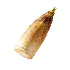 [Transparent Background PNG]Fresh bamboo shoot with natural texture and unique shape for culinary use