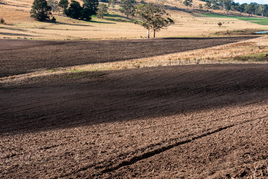 Agricultural tractor cultivating a field with discs, discing cultivation Sowing a crop in a paddock on a farm in summer in Australia.