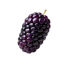 [Transparent Background PNG]A ripe and juicy blackberry with deep purple color