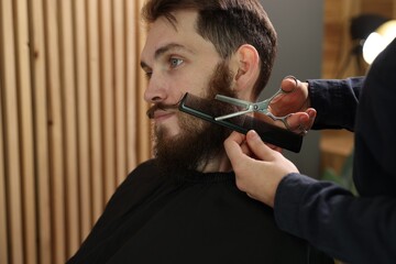 Barber trimming man's beard in barbershop, closeup
