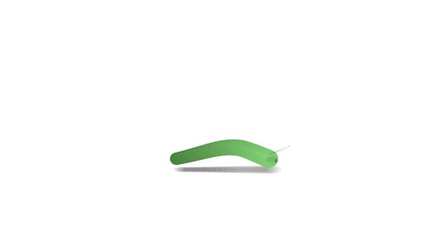 Green Inchworm Style Caterpillar Locomotion Seamless Loop Animation on White Background