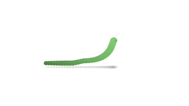 Green Caterpillar Standing Upright and Chewing in Side View Seamless Loop on White Background