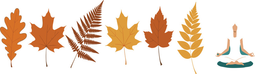 Obraz premium umn Leaves Botanical Vector Set with Fall Foliage Elements and Minimal Yoga Meditation Illustration Desig