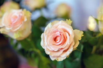 Obraz premium Beautiful rose bouquet for celebration and romance