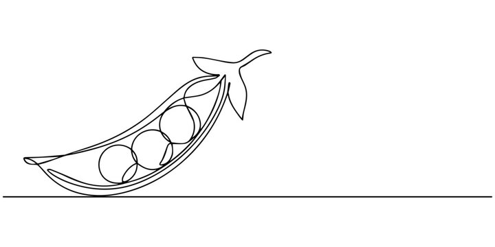 Single Line Drawing of Fresh Green Peas in Pod, Single continuous line drawing whole healthy organic green pea for farm logo identity. Fresh seed pod of pisum sativum concept vegetable icon. Dynamic