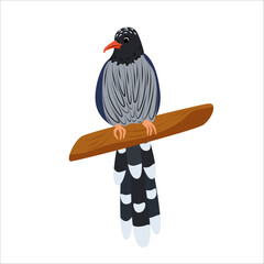 Red-billed blue magpie bird sitting on a branch, front view. Cute children animal illustration isolated. Asian birds wildlife design element.