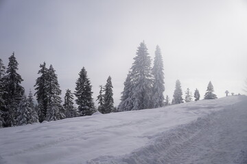 Zima na szlaku © Marcin