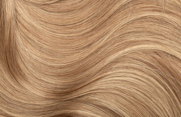 Naklejka premium Blond hair close-up as a background. Women's long blonde hair. Beautifully styled wavy shiny curls. Hair coloring. Hairdressing procedures, extension.