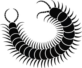 Naklejka premium A clear black silhouette of a creature with many legs such as a centipede or millipede