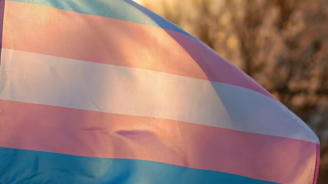 Macro of Waving Transgender Pride Flag Fabric