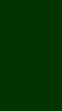 Vertical Green Matrix Digital Data Glitch Background 4K ProRes