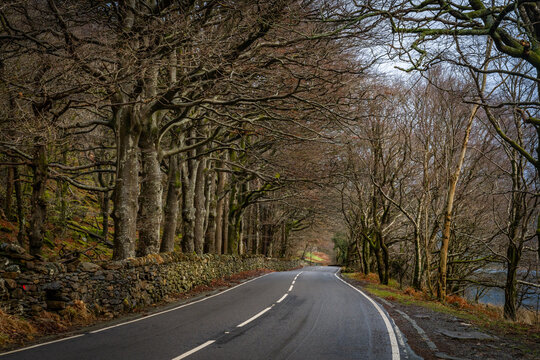 Winter and misty morning at llyn Dinas , Beddgelert, Snowdonia