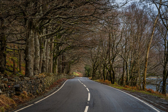 Winter and misty morning at llyn Dinas , Beddgelert, Snowdonia