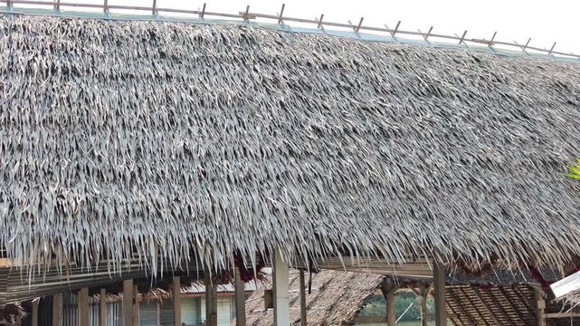 Close up of thatch roof. Roof made from dry grass.