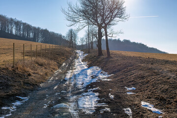The last remnants of snow on a dirt road that is deepened between the fields.