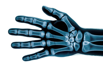 Blue skeleton hand isolated on transparent background