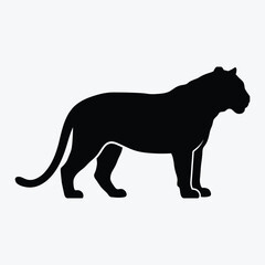 Obraz premium Silhouette of a walking tiger isolated on white background, Vector, illustration