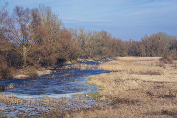Landscape seen from flood embankment next to Vistula River near Nowy Dwor Mazowiecki, Poland