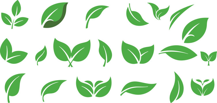 Vector set of green leaf icons on isolated background, collection of leaf elements for natural, eco, vegan and bio labels eps 