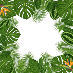 Fototapeta premium Vibrant tropical jungle leaves and flowers border with black center copy space isolated on transparent background