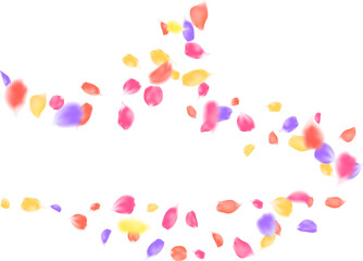 Realistic multicolored rose petals floating motion vector. Love season