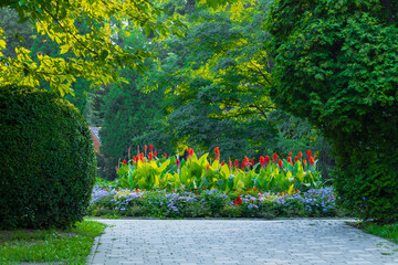 morning spring park flower bed blossom nature scenic environment seasonal space landscaped place