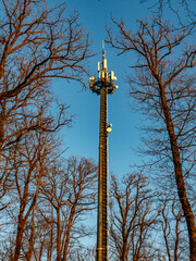 Funk und Sendemast im Wald