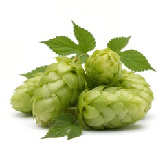 Obraz premium hop cones isolated on a transparent background