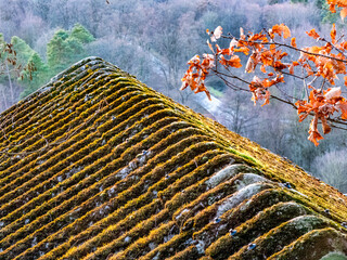 Bemoostes und feuchtes Dach einer H&uuml;tte