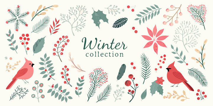 A festive winter collection featuring floral elements and charming cardinal birds