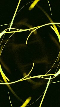 Frame skip Vertical Film Artifact Camera Shutter Transition for mobile