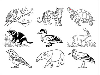 coloring page line art the animal bird and flower black vector bundle