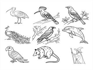 coloring page line art the animal bird and flower black vector bundle