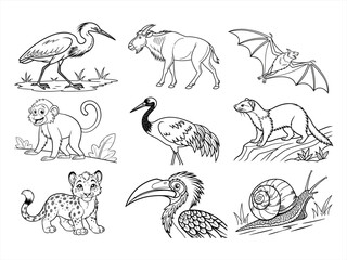 coloring page line art the animal bird and flower black vector bundle